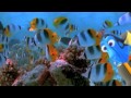 Spanish Nemo Project