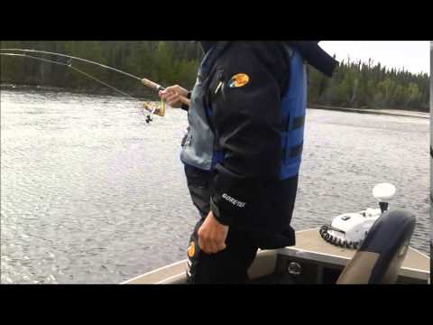 Walleye fishing at Lake Pashkokogan Ontario Canada