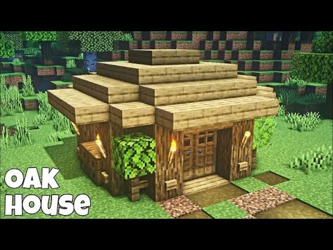 1M You Won't Believe This Small Survival House Build!