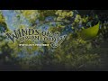 Winds of Rowan County - Wyatt Ellis ft. Peter Rowan (Official Studio Visualizer)