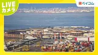 関西万博会場 ライブカメラ