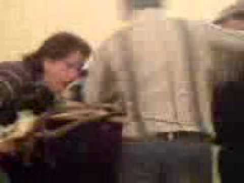 segoyuela cornada a manolin