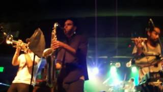 THE BLACK SEEDS - Take Your Chances