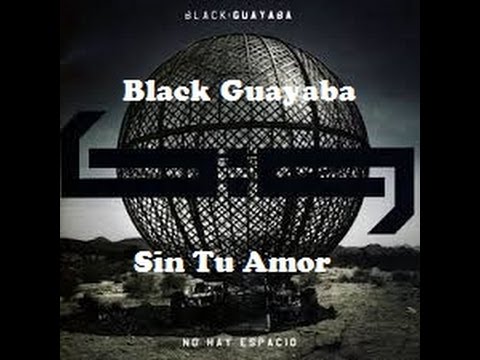 Black Guayaba- Sin Tu Amor (con letra)