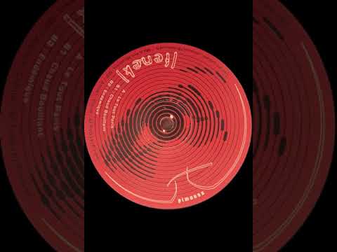 Fenek 01 - B2 - Endemique