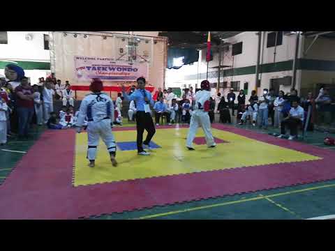 Taekwondo Tournament - Semi-finals