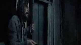 Severus Lucius Sirus Remus &amp; Draco- Backstreet&#39;s Back