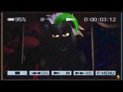 Found VHS Tape of Gregory running over Roxy