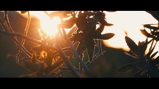 Download lagu Stay - Chet Porter (ft. Chelsea Cutler) mp3 Download lagu Stay - Chet Porter (ft. Chelsea Cutler) mp3