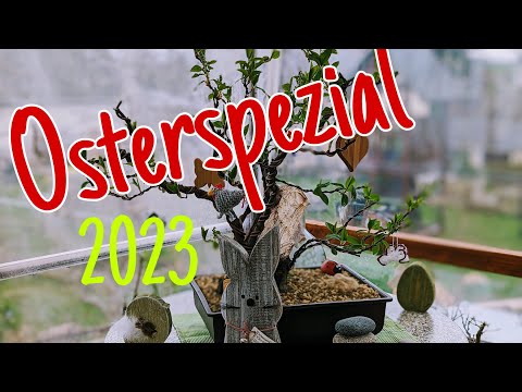 Osterspecial mit Vorschau Pre-Bonai 2023/16