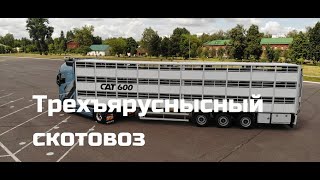 купить полуприцеп скотовоз САТ 600 Трехъярусный изображение 4 новый полуприцеп скотовоз САТ 600 Трехъярусный изображение 4
