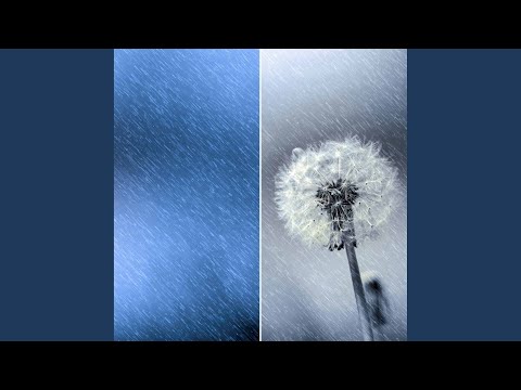 Romantic Four Seasons