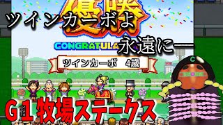 【G1牧場ステークス】ヤスデ馬娘活動　さらばツインカーボ