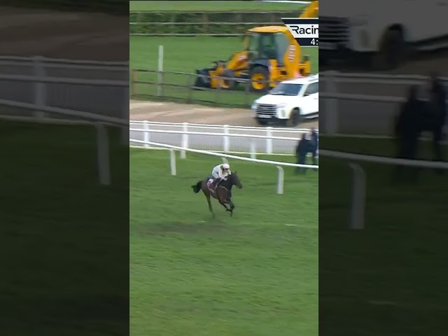 Thumbnail for Post ID: ANsgdy4ROVc