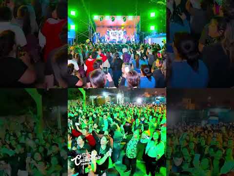 El solitario - Flor Pileña - Acap #dj #custhoflow #florpileña #cajabamba #viralshort