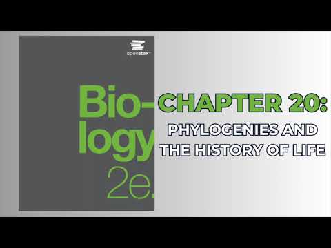 OpenStax Biology 2e (Audiobook) - Chapter 20: Phylogenies and the History of Life