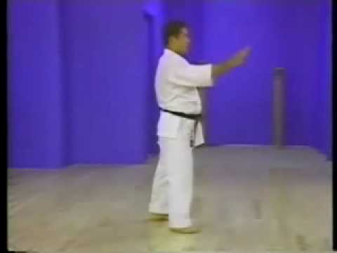 Karate Kata Goju Ryu Seisan perfectly executed from Sensei Morio Higaonna