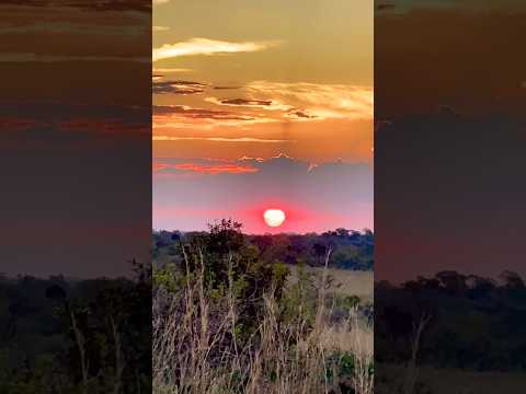 PÔR DO SOL ESPETACULAR 🌅 JARDIM DE MAYTREA | CHAPADA DOS VEADEIROS 🇧🇷💎 GUIABRASILIA 2026