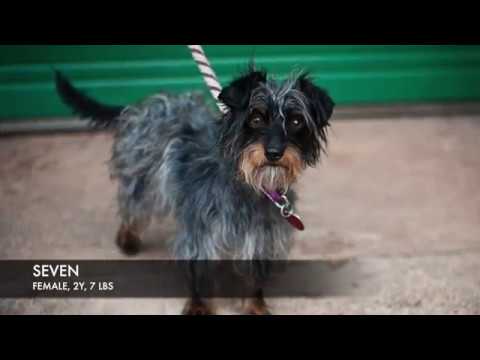 06.15.2019 Texas Transport