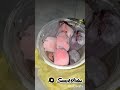 ES ASAP SEMARANG VIRAL