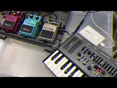 Roland SH-01A and BOSS DM-2W