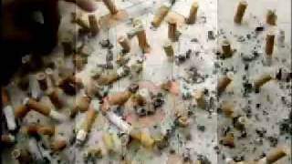 del fumador - AlmaFuerte