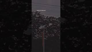 Download lagu BUAT SW SAD mp3 Download lagu BUAT SW SAD mp3