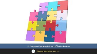 15 Common Characteristics of Effective Leaders