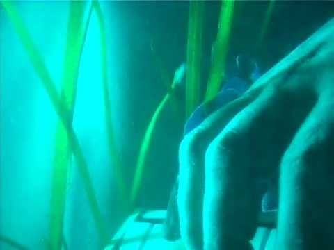 Early experiments under water