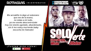 Cosculluela Ft Wisin, Divino - Solo Verte Remix (Con Letra)