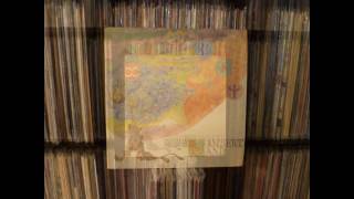 Tasavallan Presidentti - Dance (Vinyl)