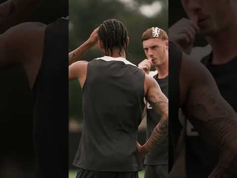 Joao Pedro Focus 🔎