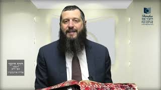 הדף היומי ירושלמי מסכת תרומות דף פד