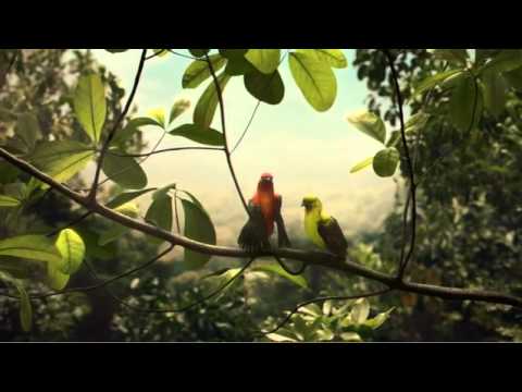 FLY BUYS "SOMETHING A LITTLE BIT GOOD"