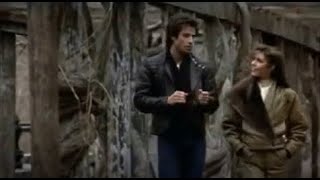 Bee Gees - I Love You Too Much - (Tradução)