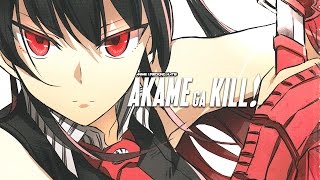Anime I F*cking Hate - Akame ga Kill!
