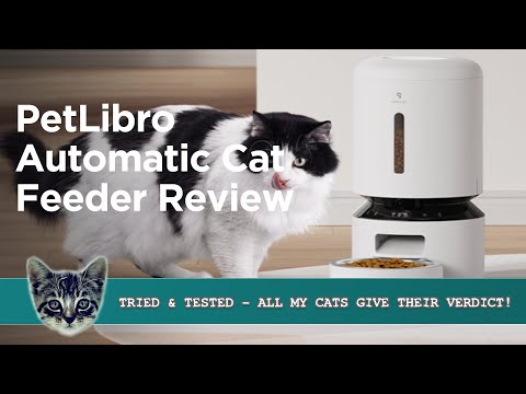 Petlibro Automatic Cat Feeder - 4 Cats Tried it. What Do They Think?