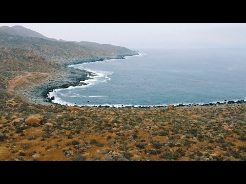 Arrayán Costero, La Serena.