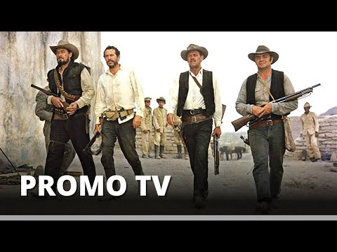 IL MUCCHIO SELVAGGIO | Promo tv