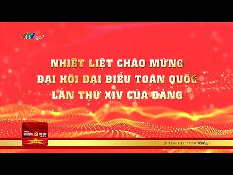 nhiet-liet-chao-mung-dai-hoi-dai-bieu-toan-quoc-lan-thu-xiv-cua-dang