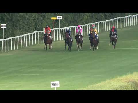 2020.09.06. 06. futam - GÖDI DÍJ (Elit kat.)