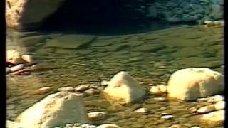 ΝΤΟΚΙΜΑΝΤΕΡ ΕΡΤ 1982 'ΧΟΡΟΙ ΚΑΙ ΤΡΑΓΟΥΔΙΑ ΤΗΣ ΠΕΡΙΟΧΗΣ ΑΣΠΡΟΠΟΤΑΜΟΥ'