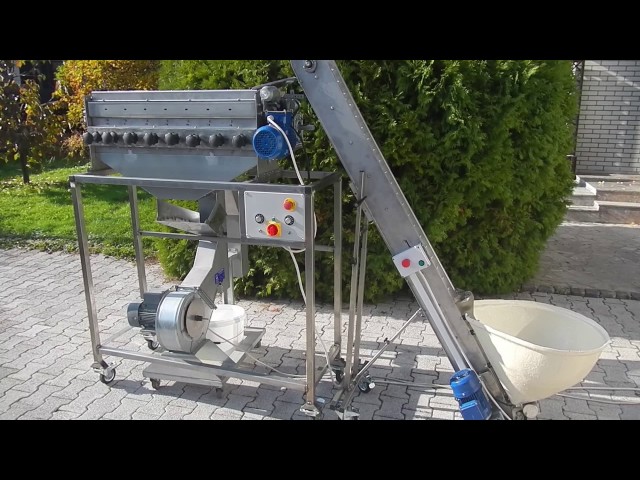 Walnut Cracking Machine - NEW GENERATION (whole production line) SDDEFAULT Thumbnail