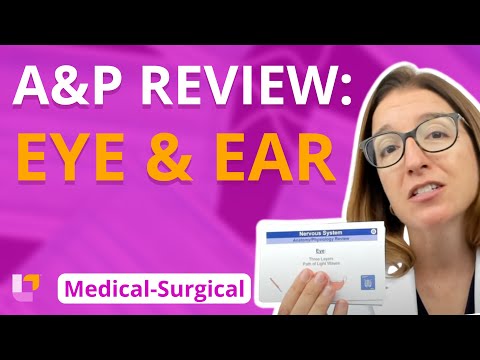 A&P Review: Eye and Ear - Medical-Surgical - Nervous System | @LevelUpRN