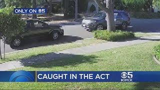 Arriving Homeowner Foils Porch Thieves In San Jose