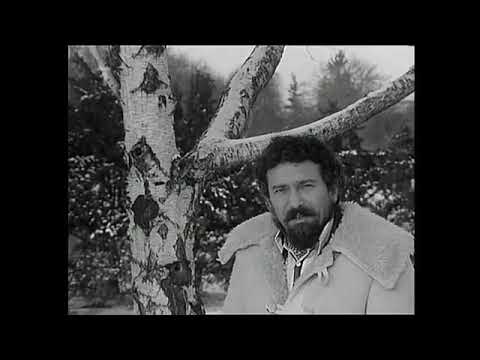 Waldemar matuška a tak dal