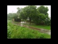 Ariyoor