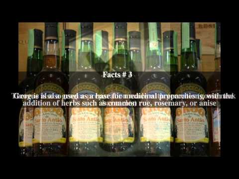 Grogue Top # 7 Facts