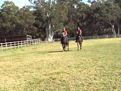 Lucky Owners/Sal N Me and Spinning World/Persian Fable