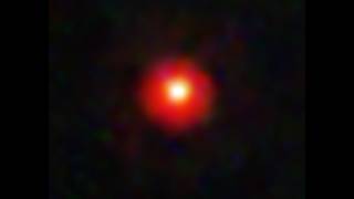 Quasi-Stars, the Little Red Dots and the James Webb Telescope